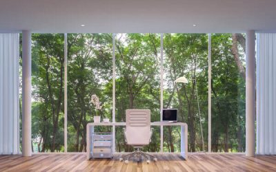 Biophilia – Bringing Nature into the Office to Reduce Stress   