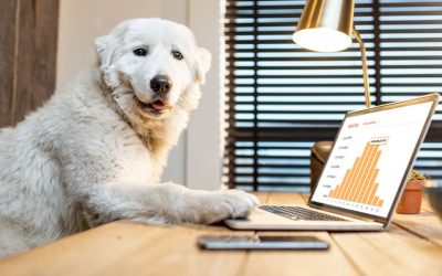 Why a Dog-Friendly Office is the Key to a Happier, More Productive Workforce