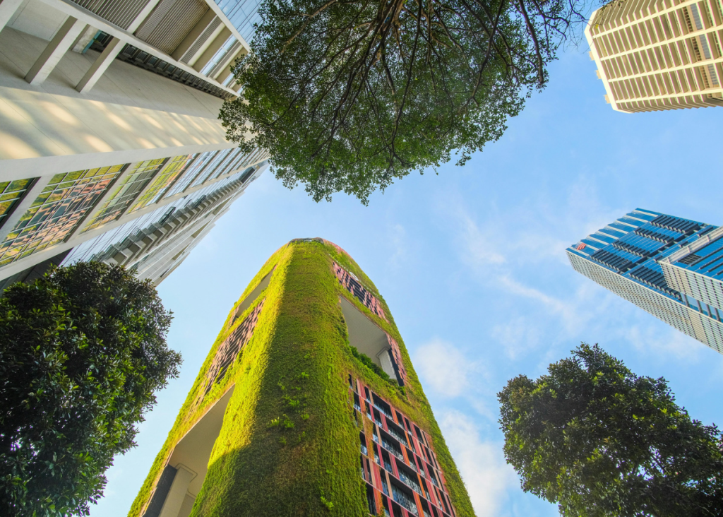 Green building among skyscrapers.